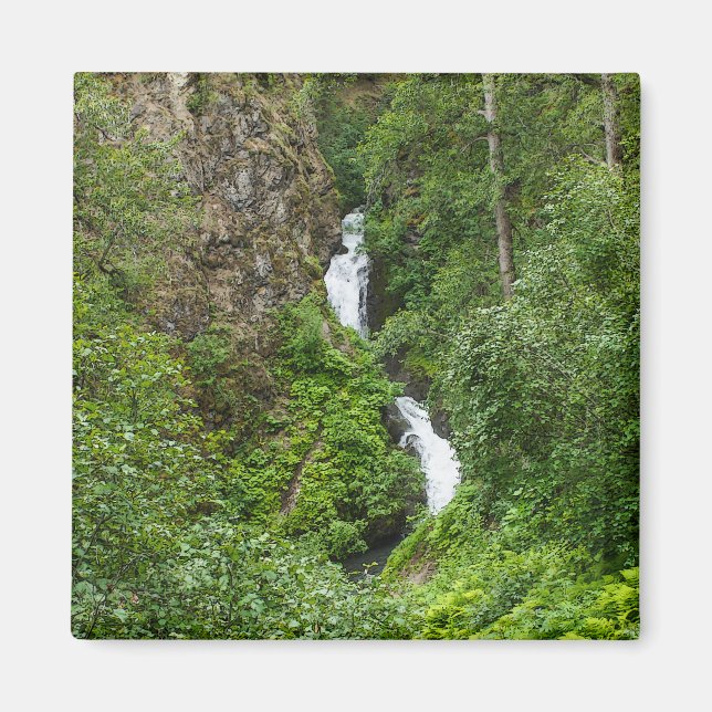 Imã Plush Thunderbird Painterly (Frente)