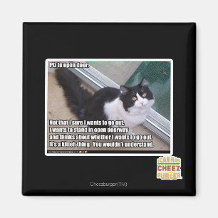 Imã Plz para abrir a porta