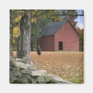 Imã Pneus balançando ao longo de uma estrada no sul de