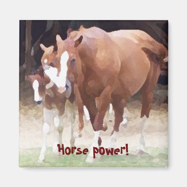 Imã Poder do cavalo! Íman (Frente)