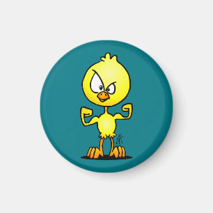 Imã Poder do pintinho