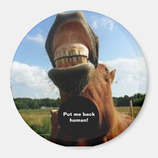 Imã Põe-me de volta humano! Magnet Cavalo (Frente)