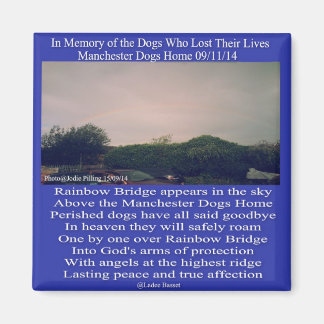 Imã Poema da Ponte Magnet Manchester Rainbow