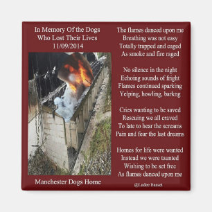 Imã Poema do fogo do cão de Manchester do ímã