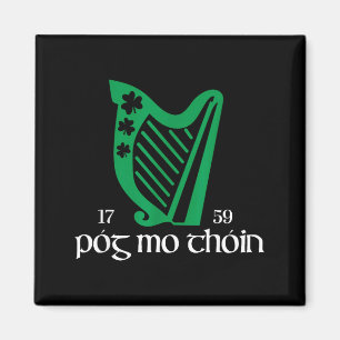 Imã Póg Mo Thóin Irlanda Divertido Sortudo Irlandês Ve