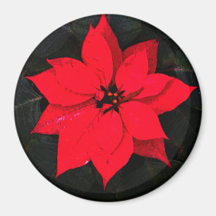 Imã Poinsettia 6078
