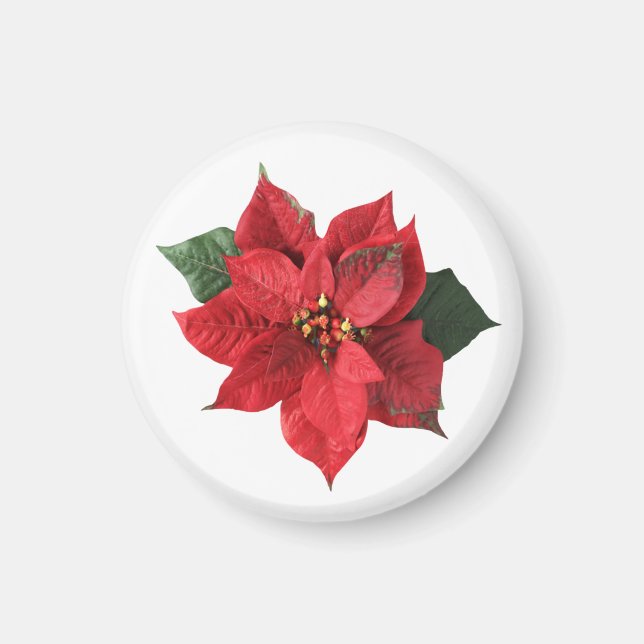 Imã Poinsettia Vermelha de Natal (Frente)