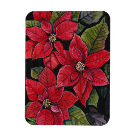 Ímã Poinsettia Vibrante Em Aquarela