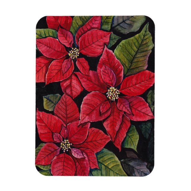Ímã Poinsettia Vibrante Em Aquarela (Vertical)
