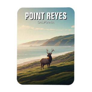Ímã Point Reyes National Seashore Elk