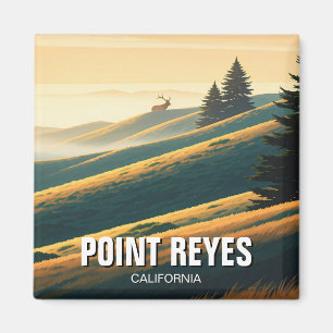 Imã Point Reyes National Seashore Elk