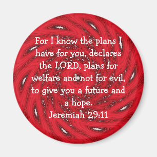 Imã Pois eu sei os planos que tenho.... Jeremiah 29:1