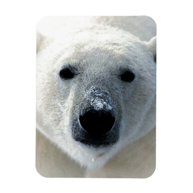 Ímã Polar Bear (Vertical)