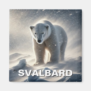 Imã Polar Bear Svalbard Noruega