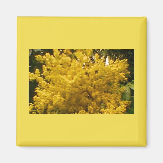 Imã Pólen Blooming (Frente)