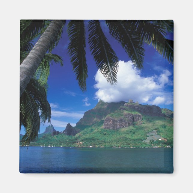 Imã Polinésia Francesa, Moorea. Baía de Cooks. Verde (Frente)