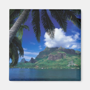 Imã Polinésia Francesa, Moorea. Cooks Bay.Verde