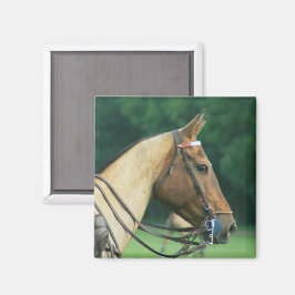 Imã Polo Pony Magnet