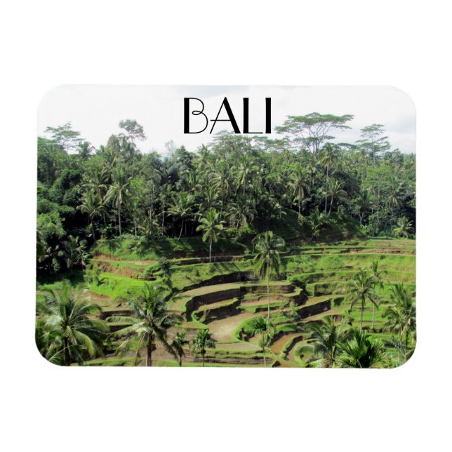 Ímã polos de arroz bali (Horizontal)