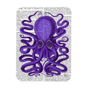 Ímã Polvo Roxo