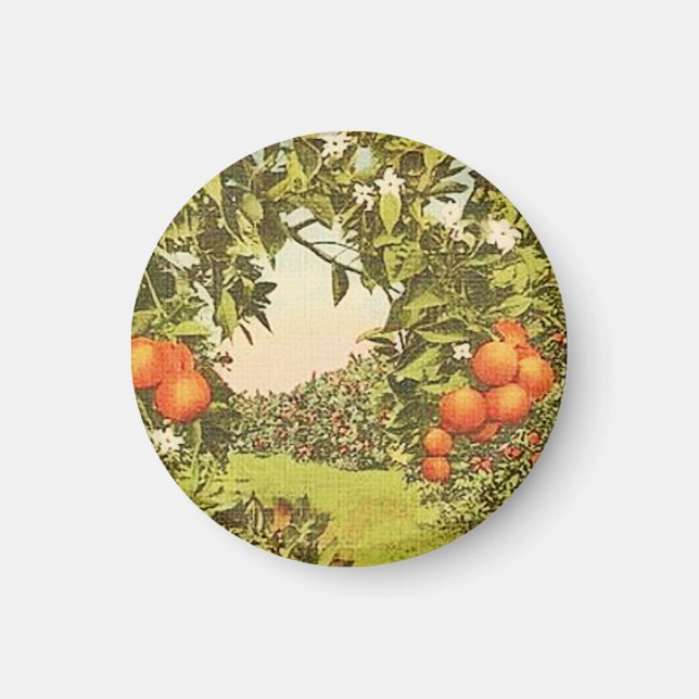 Imã Pomar de Laranja Vintage (Frente)