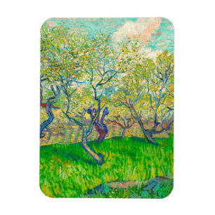 Ímã Pomar Vincent van Gogh em Blossom