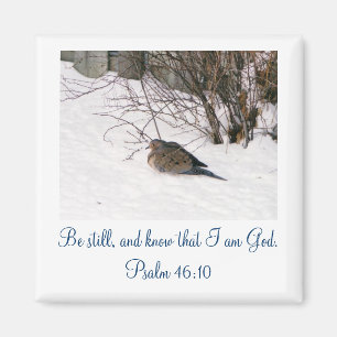 Imã Pomba no ímã de Scipture da neve