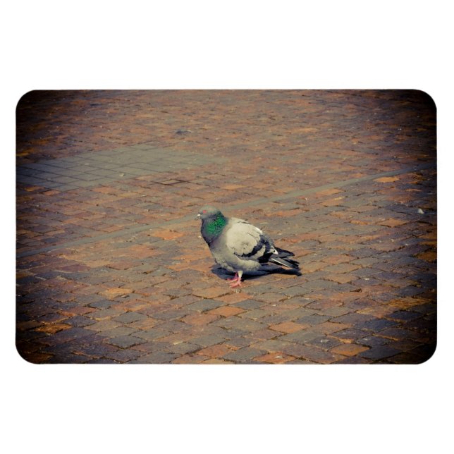 Ímã Pombo (Horizontal)