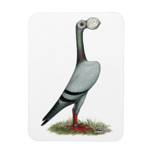 Ímã Pombo de portador 2012