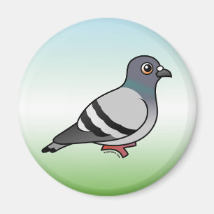 Imã Pombo de rocha bonito