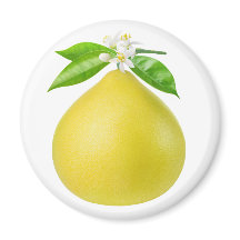 Pomelo num galho