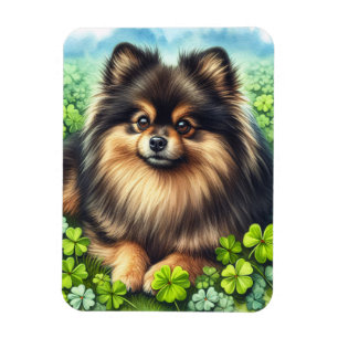 Ímã Pomerânia Listrado Aquarela Trevo de Três Folhas S