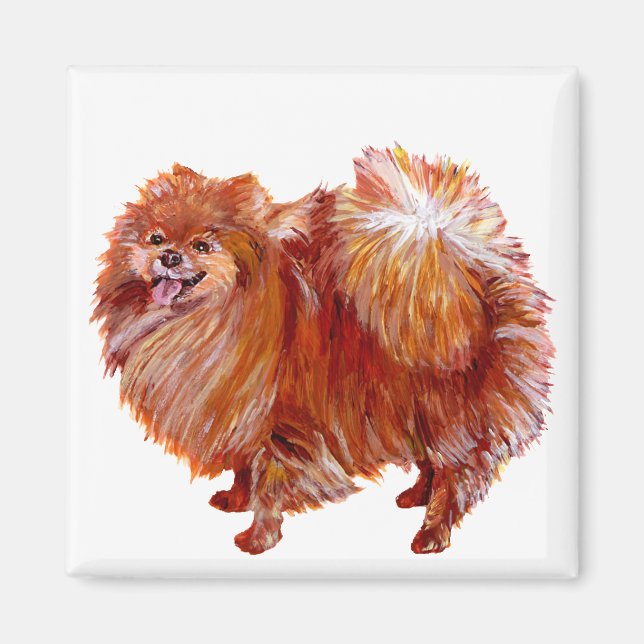Imã Pomerânia Vermelha (Frente)