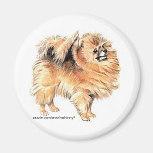 Imã Pomeraniano!