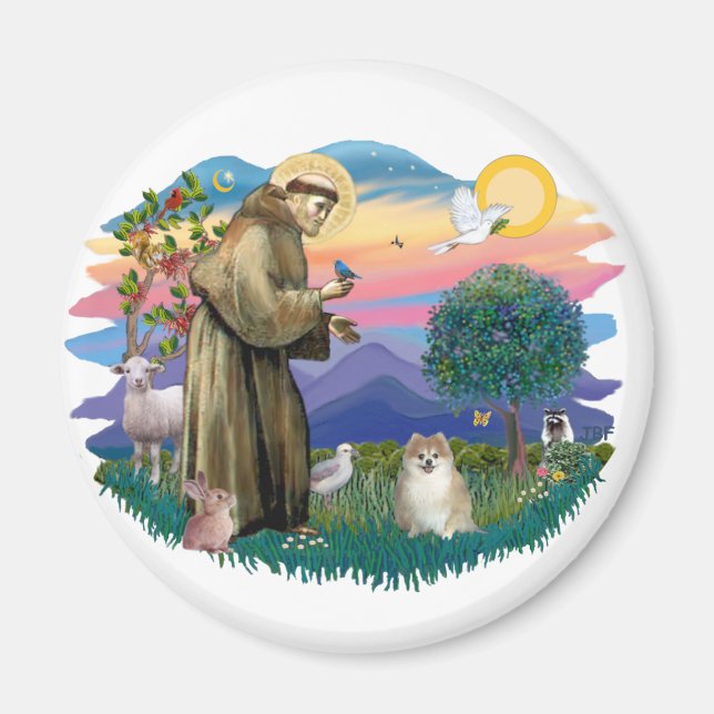 Imã Pomeraniano (despedida) (Frente)