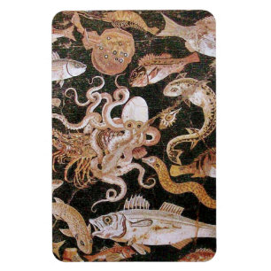 ÍMÃ POMPEII COLLECTION / OCEAN - SEA LIFE SCENE