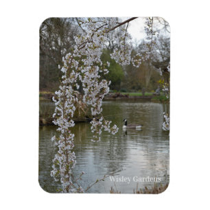 Ímã Pond na RHS Wisley, Inglaterra