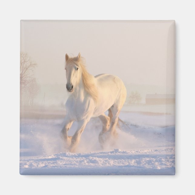 Imã Pônei Fazenda equestre branco (Frente)