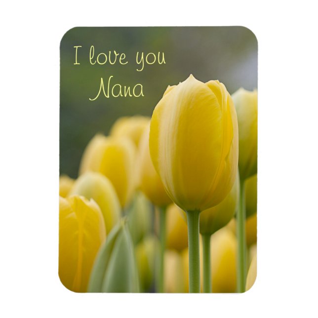 Ímã Ponta para cima (Vertical)