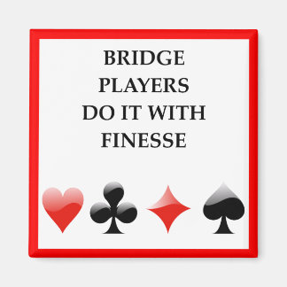 IMÃ PONTE