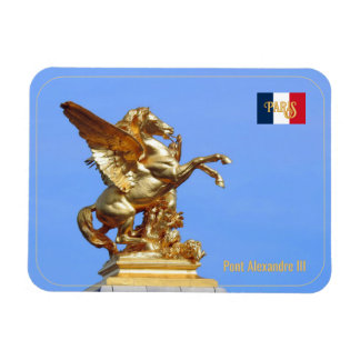 Ímã Ponte Alexandre III em Paris, França