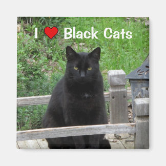 Imã Ponte Black Cat I Love Black Cats Magnet