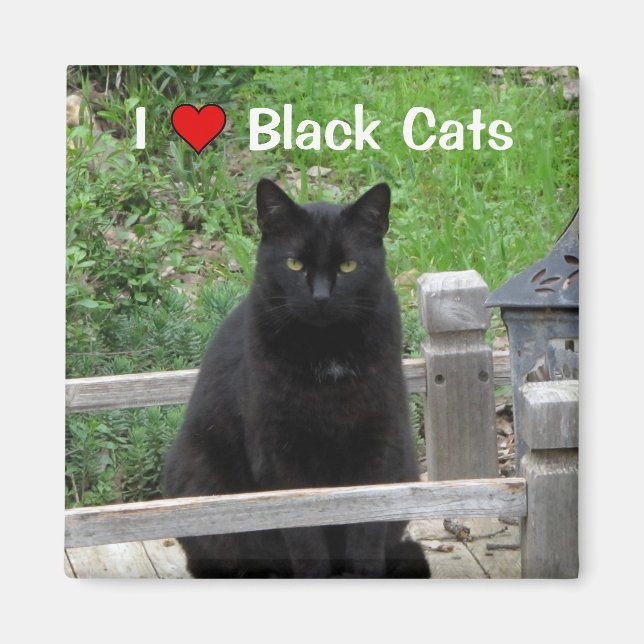 Imã Ponte Black Cat I Love Black Cats Magnet (Frente)