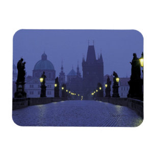 Ímã Ponte Carlos Praga