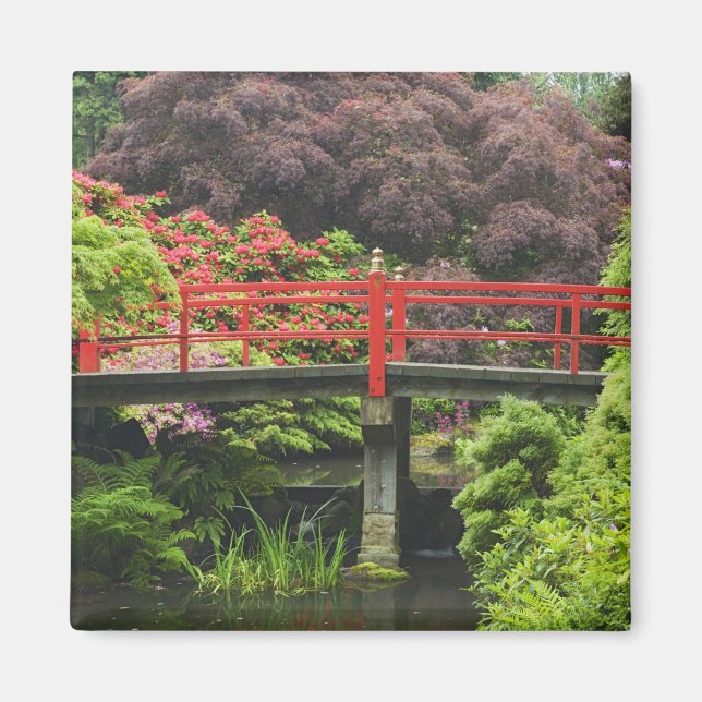 Imã Ponte do Coração com rododendros floridos, (Frente)