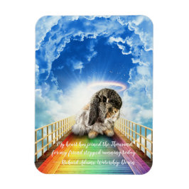 Ímã Ponte do Magnet de Muitas Cores