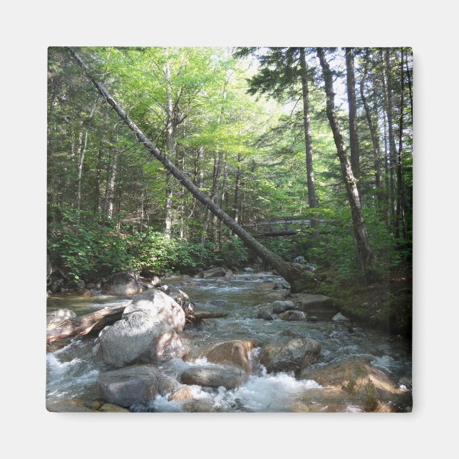 Imã Ponte do rio Pemigewasset em Nova Hampshire (Frente)