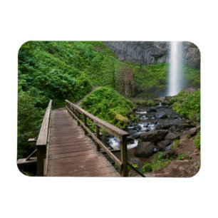 Ímã Ponte em Latourell Falls, Columbia River Gorge,