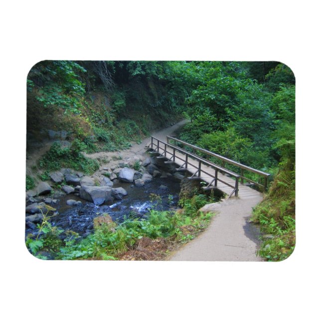 Ímã Ponte em Latourell Falls, Oregon (Horizontal)