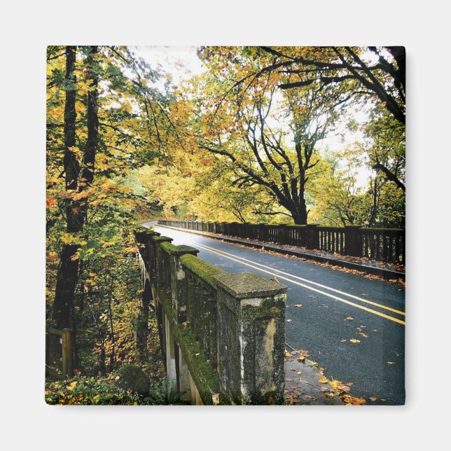 Imã Ponte em Latourell Falls, Oregon (Frente)